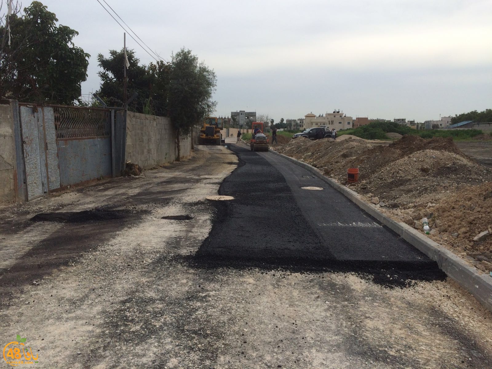 lud street shanir (1).jpg